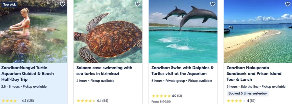 GetYourGuide Zanzibar Activities