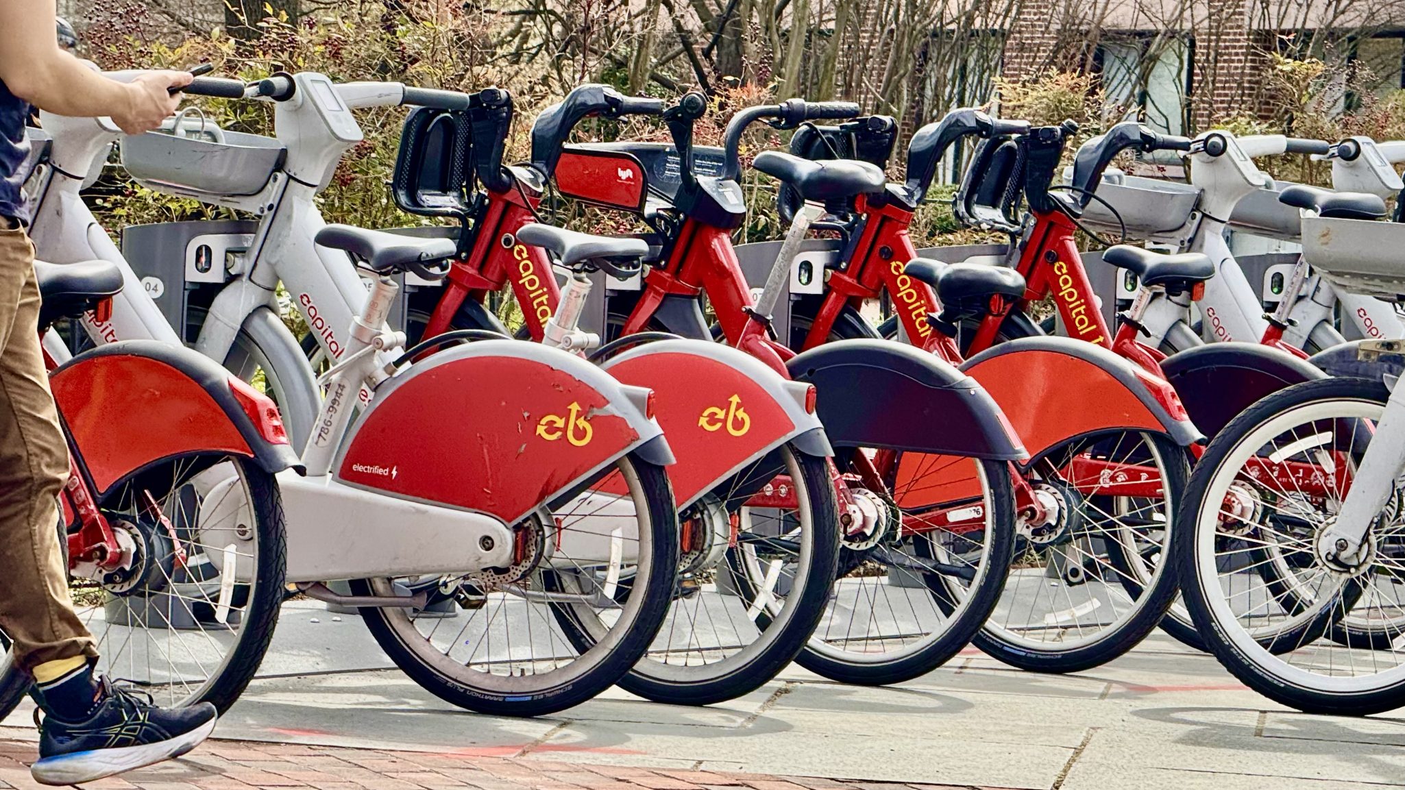 Capital city bikes in Washington DC