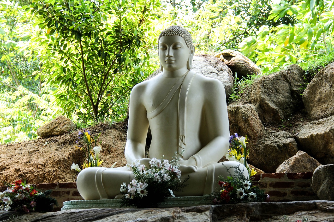 buddha, sri lanka, mahamevnawa, buddha, buddha, sri lanka, buddha purnima, sri lanka, sri lanka, sri lanka, sri lanka