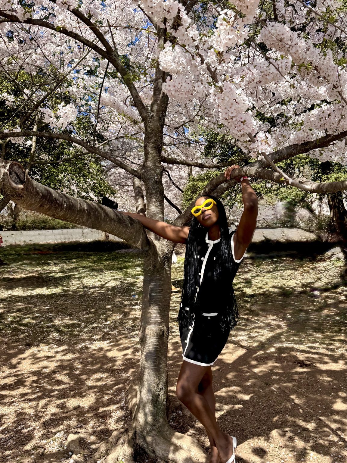 Girls wearing black and white dress standing under a cherry blossom tree in Washington DC