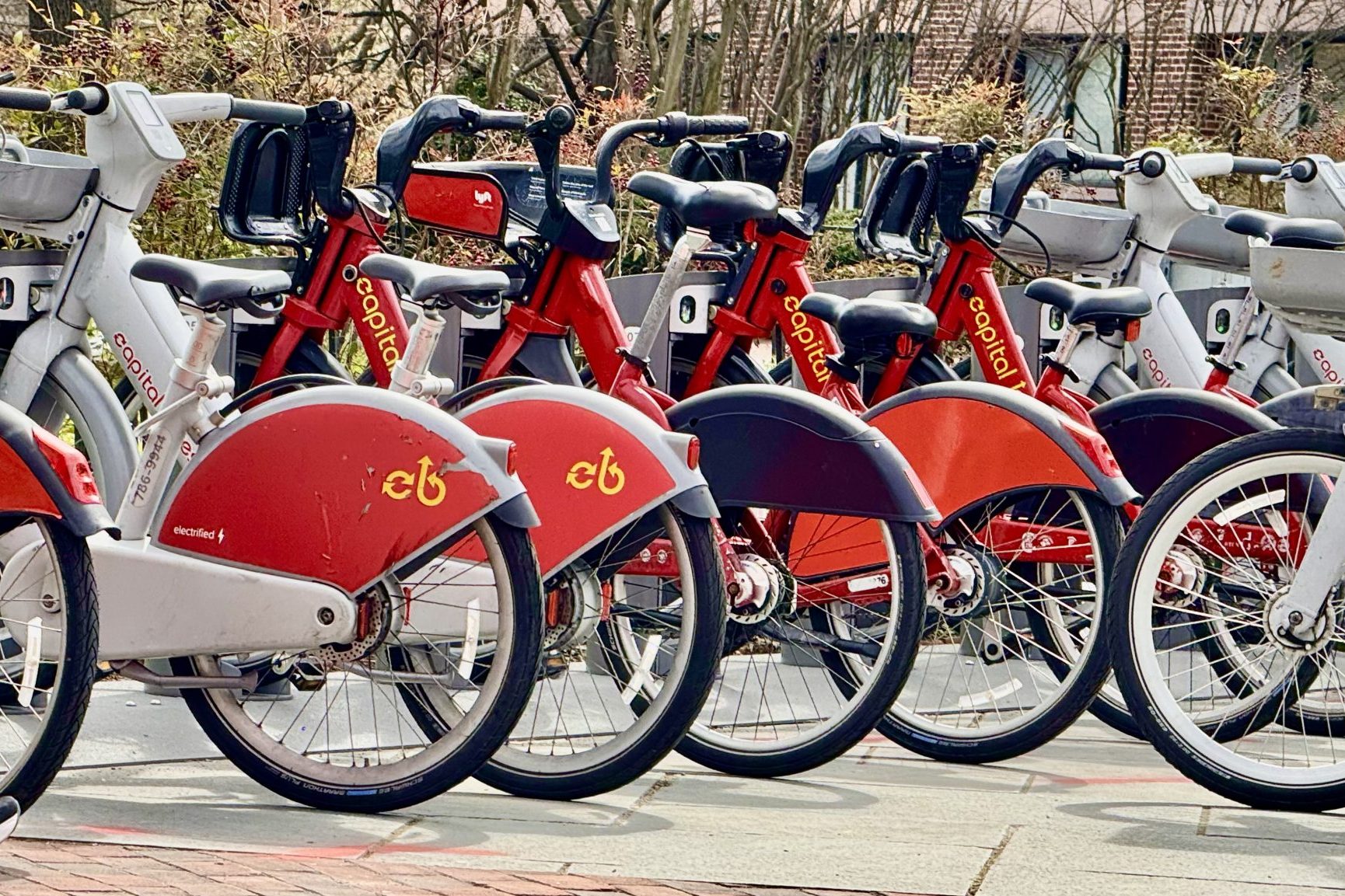 Capital city bikes in Washington DC