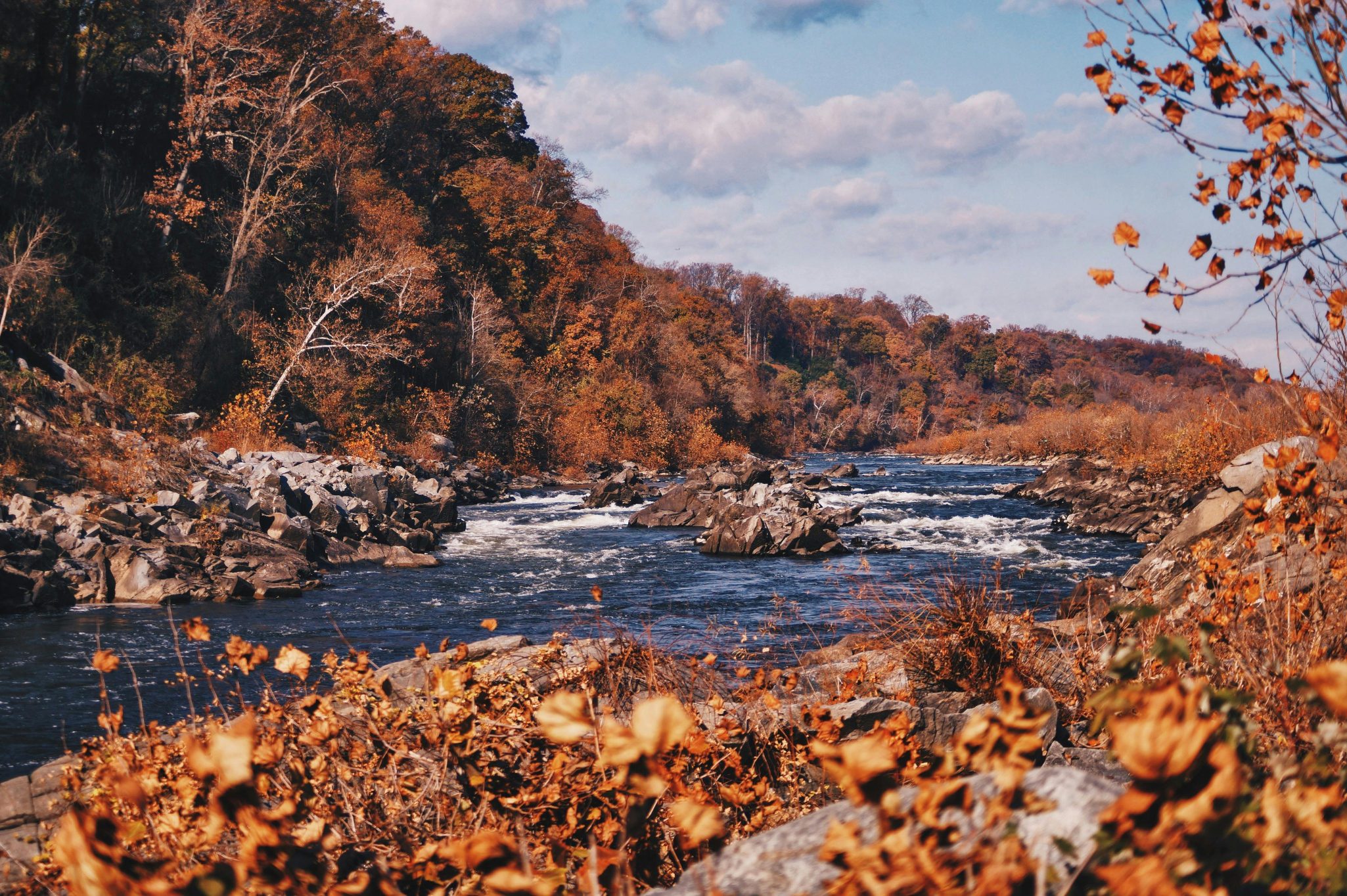 Scenic view of a river flowing amidst autumn foliage in Arlington, Virginia. Perfect fall ambiance.