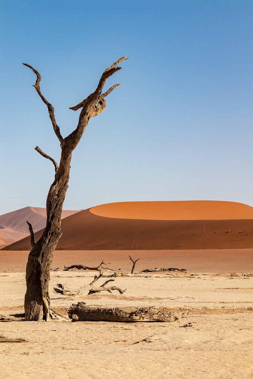 Namibia desert photography