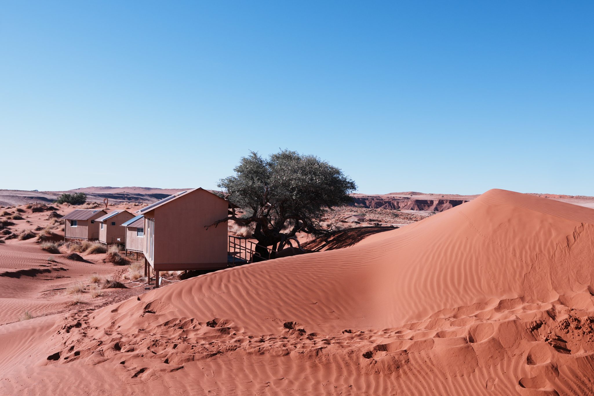 Desert landscape featuring wooden cabins on sand dunes with a solitary tree and clear blue sky.