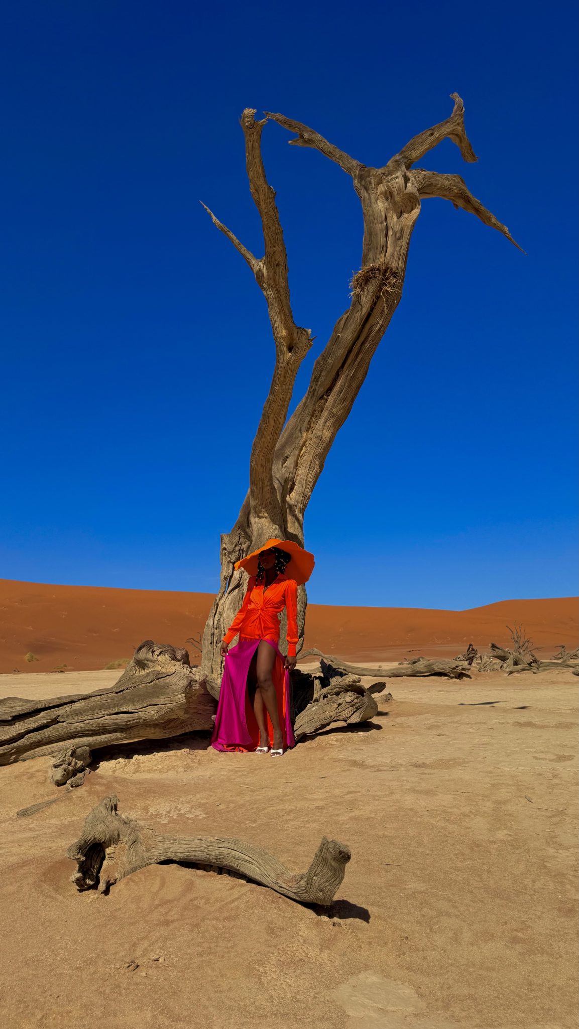A person stands near a twisted, dry tree in a desert landscape, wearing a vibrant orange top and a flowing pink skirt. The background features a clear blue sky and orange sand dunes.