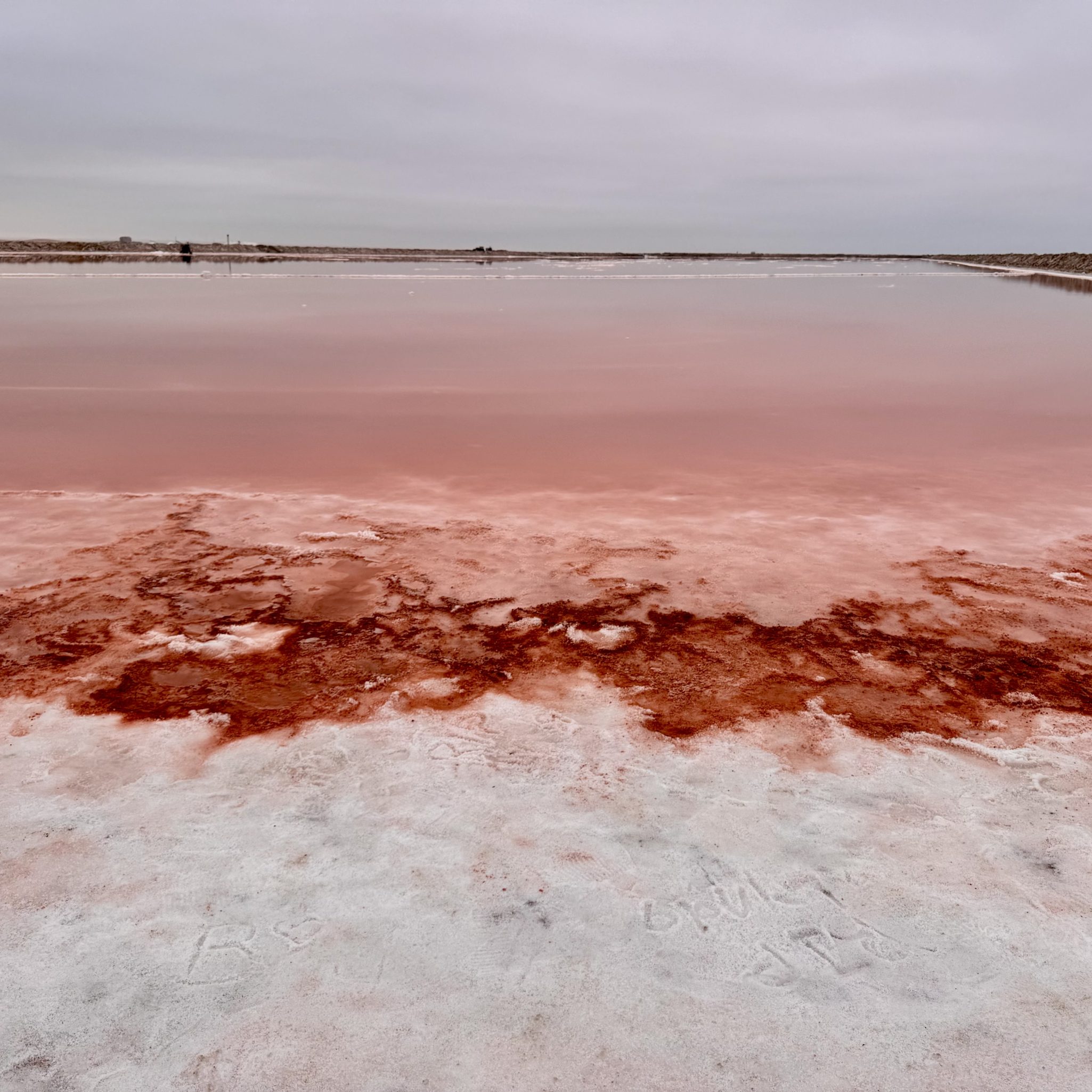 A panoramic view of a pink salt flat under a cloudy sky, featuring a wet, reflective surface with reddish-brown patches and white salt crust.